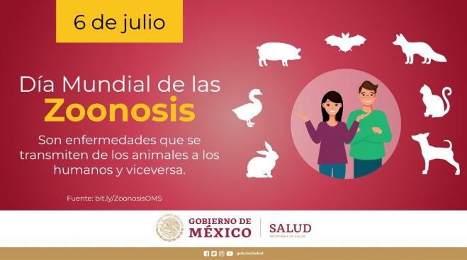 Vacunarán a mascotas en el Día Mundial de la Zoonosis