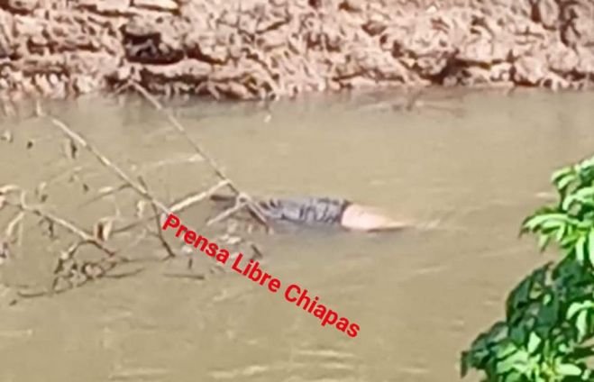 Hallan cuerpo de un hombre flotando en el Río Amarillo