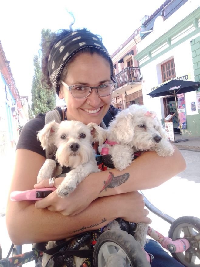 Turistas realizan donaciones de sillas de ruedas para perros paralíticos