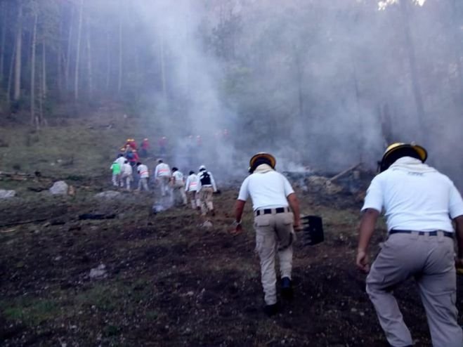 En San Cristóbal más de 7 hectáreas de bosques han sido consumidas por el fuego