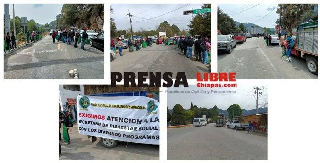 Integrantes de la UNTA bloquean carretera San Cristóbal-Teopisca