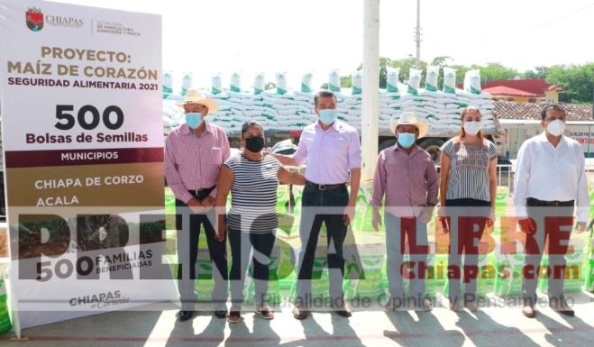 Encabeza Rutilio Escandón entrega de apoyos a productores del sector agrícola de Chiapas