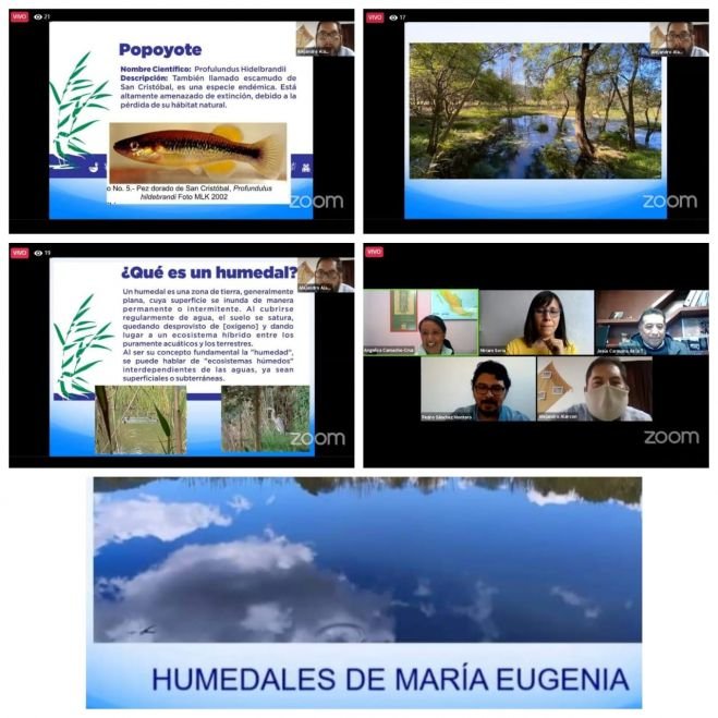 Sin humedales de montaña, en poco tiempo nos quedaremos sin agua en San Cristóbal: académicos ambientalistas