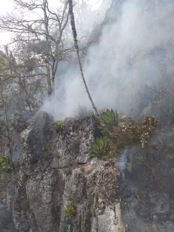 Varios incendios forestales se registran en la periferia de San Cristóbal