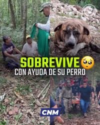 ABUELITO SE PIERDE TRES D&Iacute;AS EN LA SELVA Y ES RESCATADO GRACIAS A SU PERRO