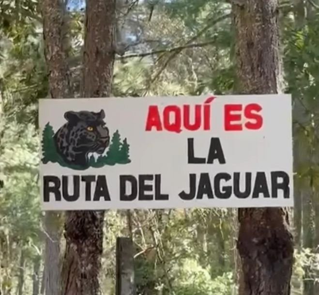 Eduardo Ram&iacute;rez decreta nueva &Aacute;rea Natural Protegida para resguardar al quetzal y otras especies