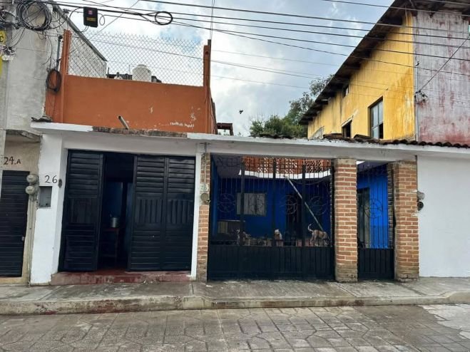 Realizan trabajos de limpieza en casa protectora de animales en San Cristóbal de Las Casas