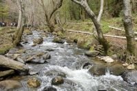 Cumplimentan amparo 1493/2019 con recorrido por la Reserva Quemv&oacute; Cuxtitali