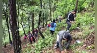Continúan campañas de reforestación en San Cristóbal de Las Casas