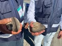 Veda sanitaria en Bahía de Paredón, por marea roja   