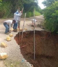 Lluvias provocan ca&iacute;da de &aacute;rboles y deslizamiento de tierra en Chiapas