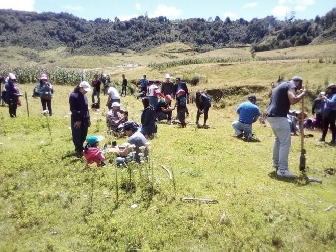 Con la siembra de más de 1 millón 700 mil árboles concluye la XI Campaña de Reforestación