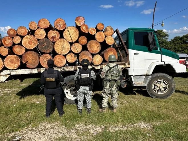 Grupo interinstitucional asegura dos vehículos por el presunto delito de ecocidio en Altamirano