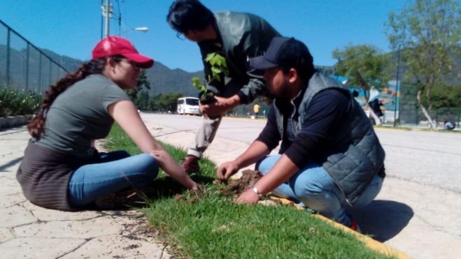 AYUNTAMIENTO DE SCLC Y LA SEMAHN REALIZAN ACTIVIDADES DE REFORESTACIÓN