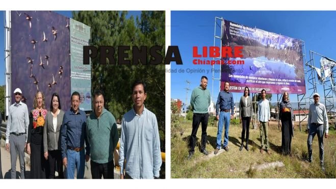 REFUERZA AYUNTAMIENTO PROMOCI&Oacute;N PARA LA CONSERVACI&Oacute;N DE HUMEDALES EN SAN CRIST&Oacute;BAL 