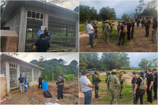 Aseguran tigre de bengala tras cateo en un rancho de Palenque: FGE