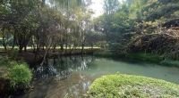 Universidad Intercultural de Chiapas impulsa reforestación y talleres ecológicos