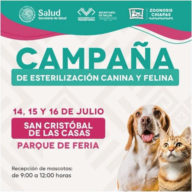 Gobierno de San Cristóbal y Secretaría de Salud impulsan campaña gratuita de esterilización canina y felina