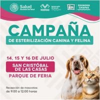 Gobierno de San Crist&oacute;bal y Secretar&iacute;a de Salud impulsan campa&ntilde;a gratuita de esterilizaci&oacute;n canina y felina
