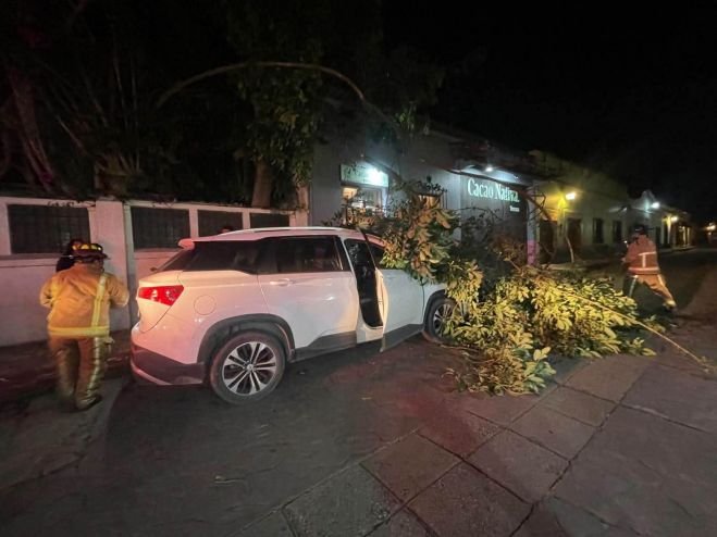 Rama cae sobre veh&iacute;culo en Santa Luc&iacute;a
