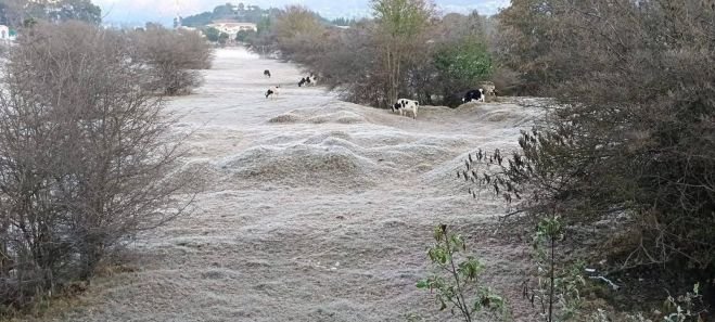 Emiten recomendaciones ante descenso de temperatura en SCLC