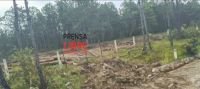 Destrucción del medio ambiente en Altamirano