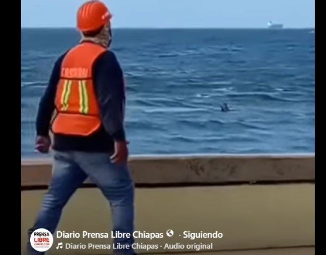 Tragedia en Coatzacoalcos: estudiante pierde la vida tras ingresar al mar sin autorizaci&oacute;n