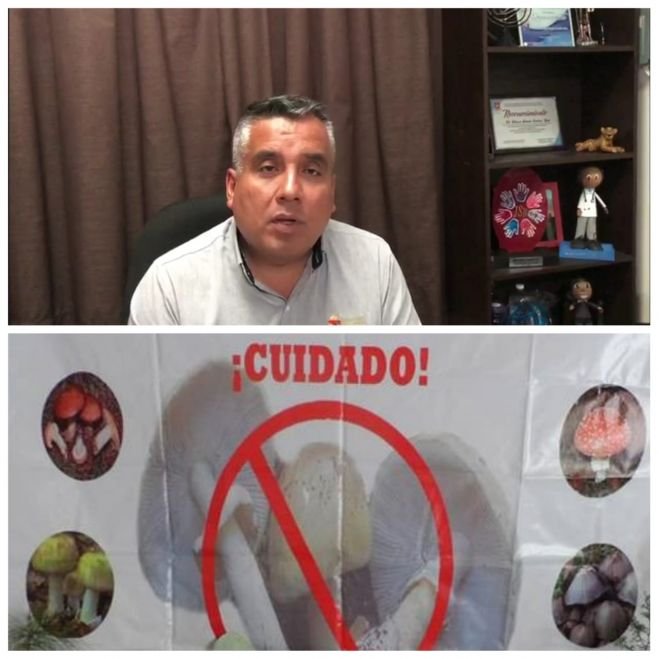 Mueren cuatro de siete personas intoxicadas por consumir hongos silvestres en Huixtán