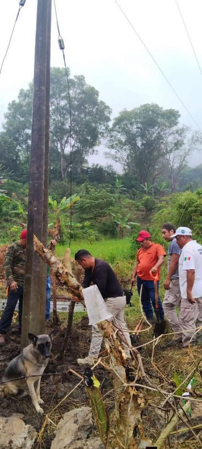 Deslizamientos y ca&iacute;da de &aacute;rboles afectan carreteras en el norte de Chiapas