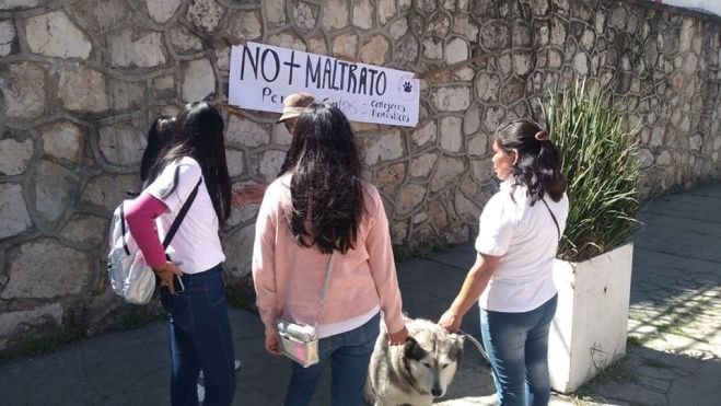 En San Crist&oacute;bal se manifiestan en contra del maltrato animal