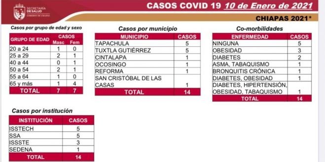 SEMANA 7 EN SEMÁFORO VERDE: 96 CASOS Y 13 DECESOS DE COVID-19
