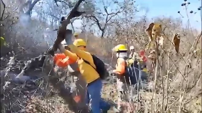 Abril y mayo serán meses muy calurosos, por ello reiteran el llamado a evitar la quema de basura en parcelas, patios y lotes 