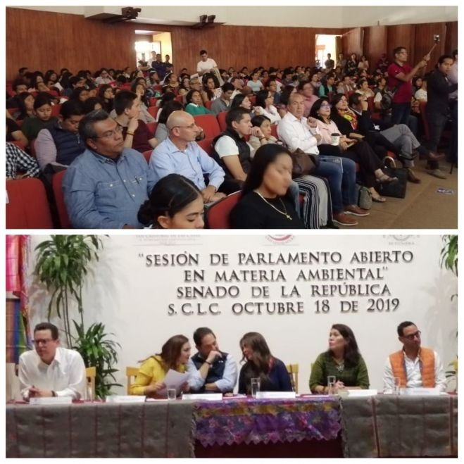 Realizan Sesión de Parlamento Abierto en Materia AmbientalImage