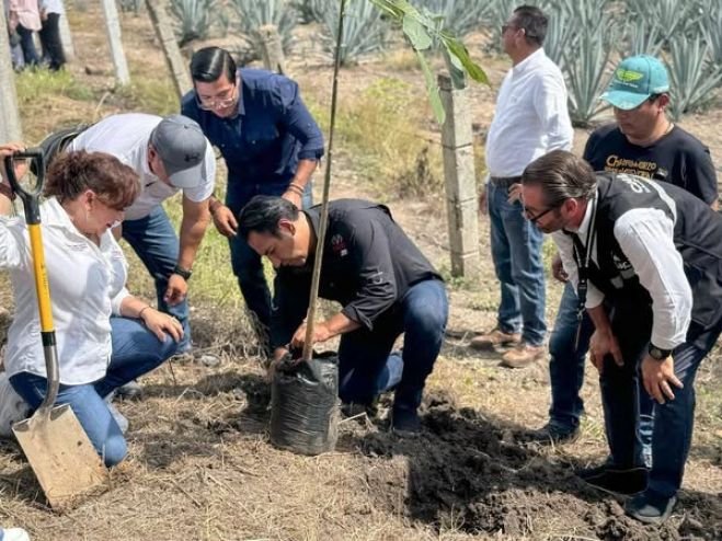 Impulsa Eduardo Ramírez campaña para reforestar 100 mil hectáreas en Chiapas*