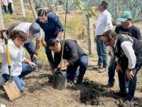 Impulsa Eduardo Ramírez campaña para reforestar 100 mil hectáreas en Chiapas*