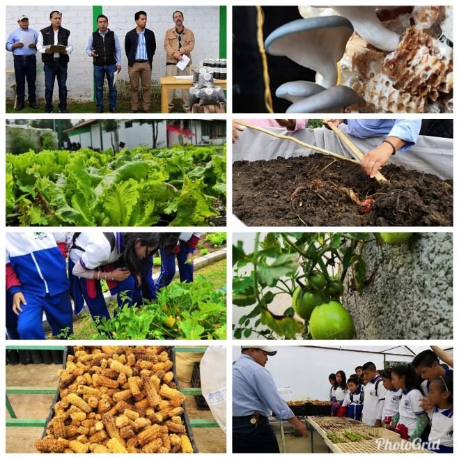 CAPACITA COORDINACI&Oacute;N DE PROYECTOS PRODUCTIVOS DEL AYUNTAMIENTO A ESCUELAS T&Eacute;CNICAS DE SCLC