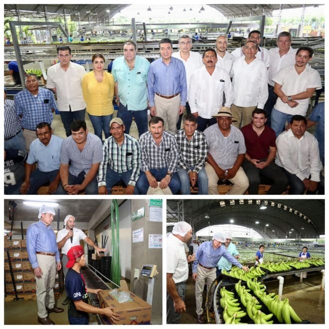 Impulsamos nuevos mercados internacionales para productos chiapanecos: Rutilio Escand&oacute;n