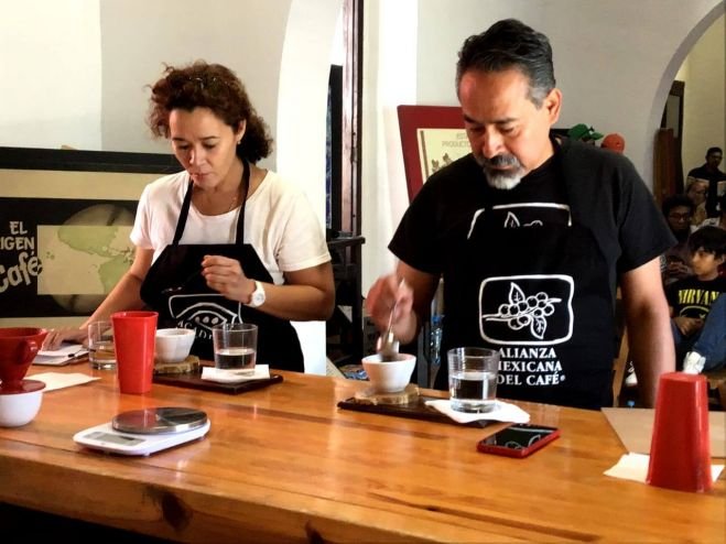Arranca Foro Cafetalero en el CIMSUR-UNAM en San Cristóbal 