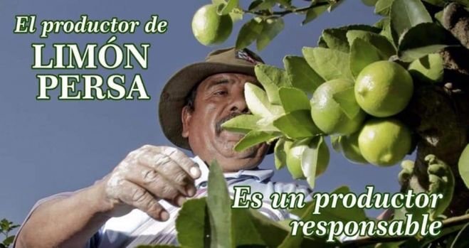 Organizan conferencias y talleres para productores de limón persa 