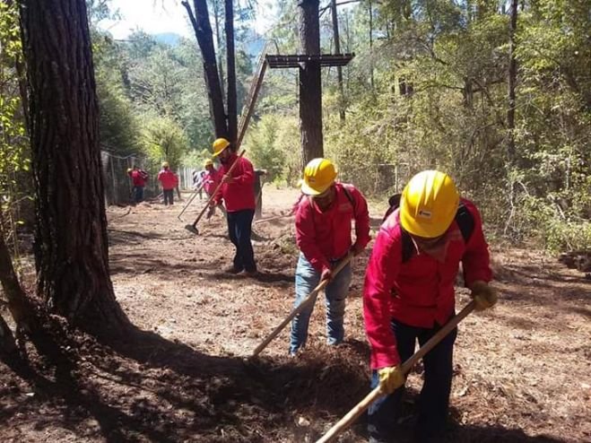 Realizan apertura de brechas cortafuego en zona Altos