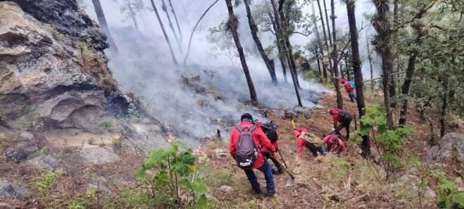 Habitantes y brigadistas combaten incendio en la resecerva Quenvo