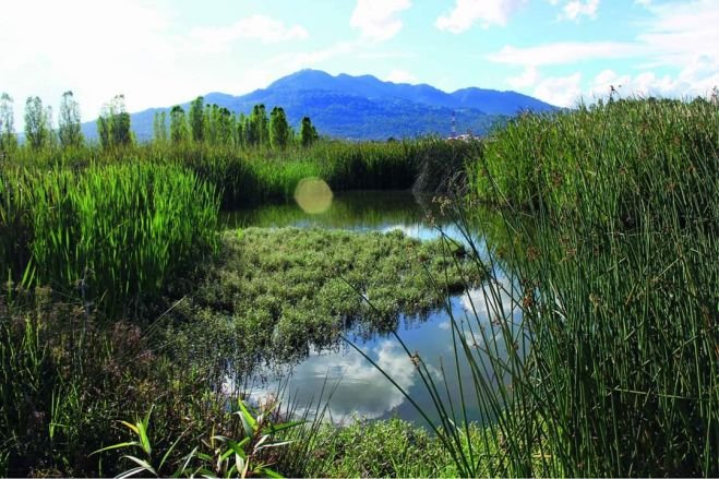 Inicia Primer Foro "Cuencas y Cultura del Agua en Chiapas