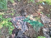 Brigada de b&uacute;squeda en Salvador Urbina y Galecio, Chiapa de Corzo