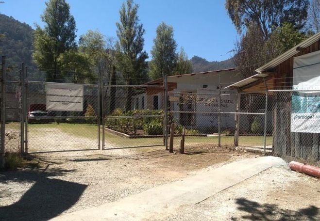 En lo que va de este a&ntilde;o no se ha  registrado ning&uacute;n incendio forestal: Conafor