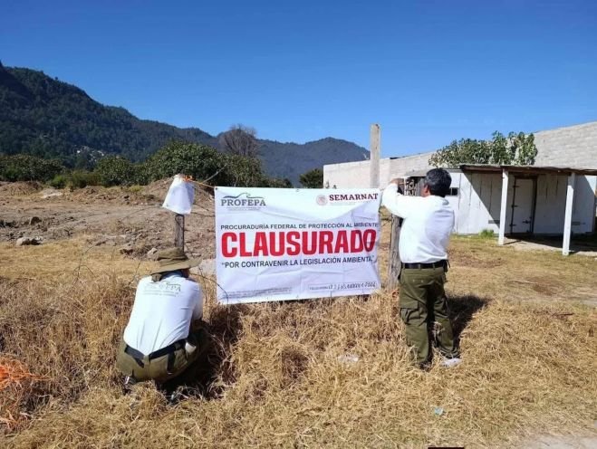 PROFEPA suspende trabajos irregulares en &aacute;rea natural protegida de San Crist&oacute;bal