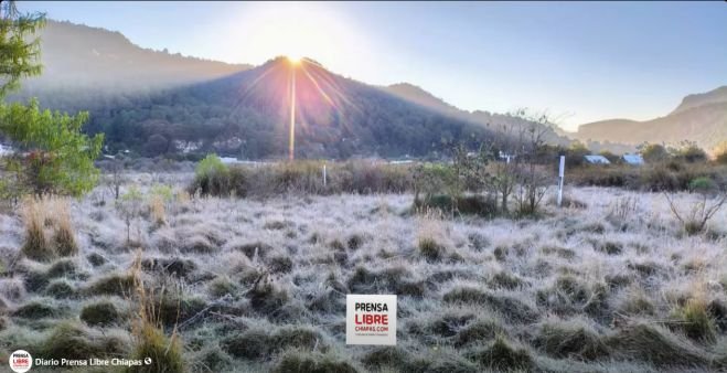 Heladas extremas azotan la zona Altos