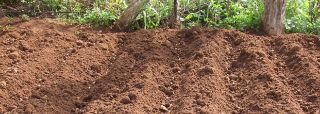 Del 12 al 17 de mayo se realizar&aacute; el Primer Congreso Mexicano de Agroecolog&iacute;a