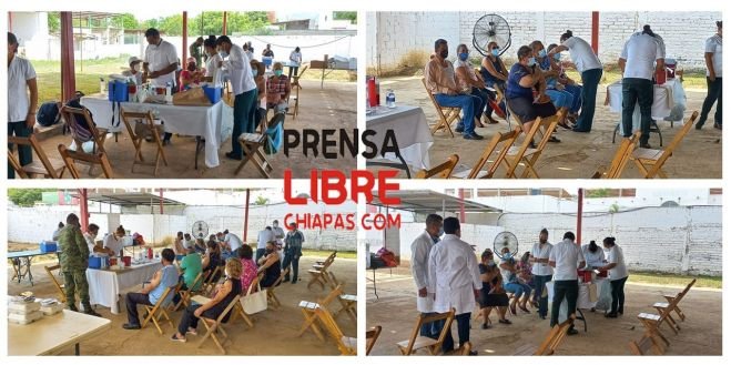 Inicia aplicación de vacuna contra la Covid-19 a personas de 50 a 59 años en San Cristóbal de Las Casas