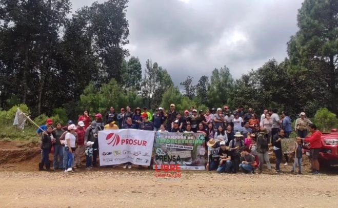 Con gran éxito y participación concluye Campaña Anual de Reforestación 