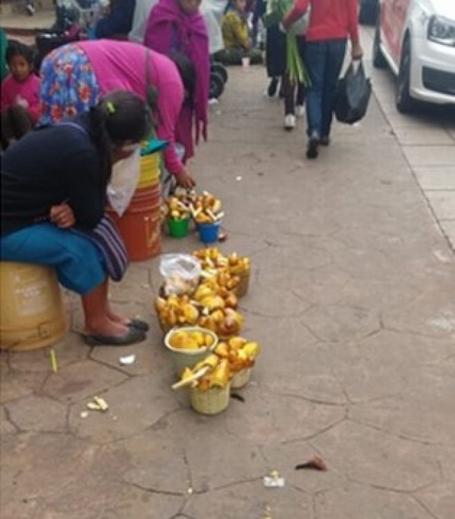 Incrementa venta de hongos silvestres en los mercados